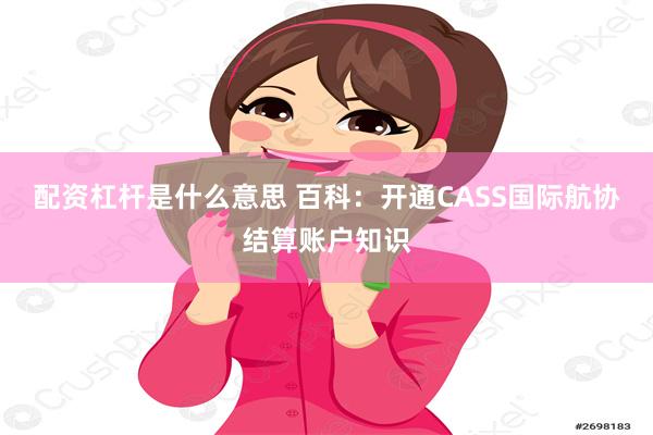 配资杠杆是什么意思 百科：开通CASS国际航协结算账户知识