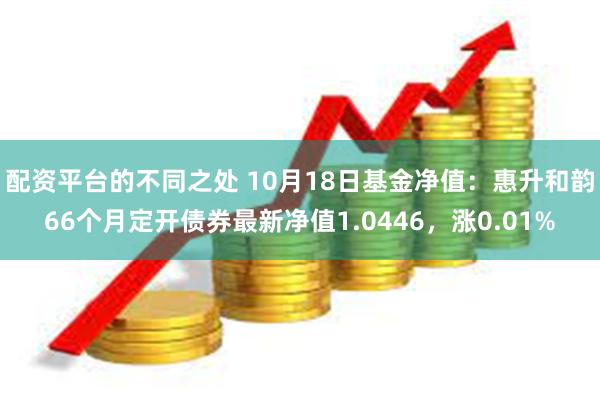 配资平台的不同之处 10月18日基金净值：惠升和韵66个月定开债券最新净值1.0446，涨0.01%