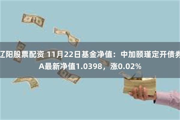 辽阳股票配资 11月22日基金净值：中加颐瑾定开债券A最新净值1.0398，涨0.02%