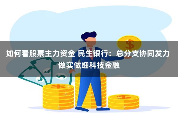 如何看股票主力资金 民生银行：总分支协同发力 做实做细科技金融