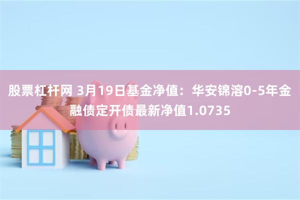 股票杠杆网 3月19日基金净值：华安锦溶0-5年金融债定开债最新净值1.0735